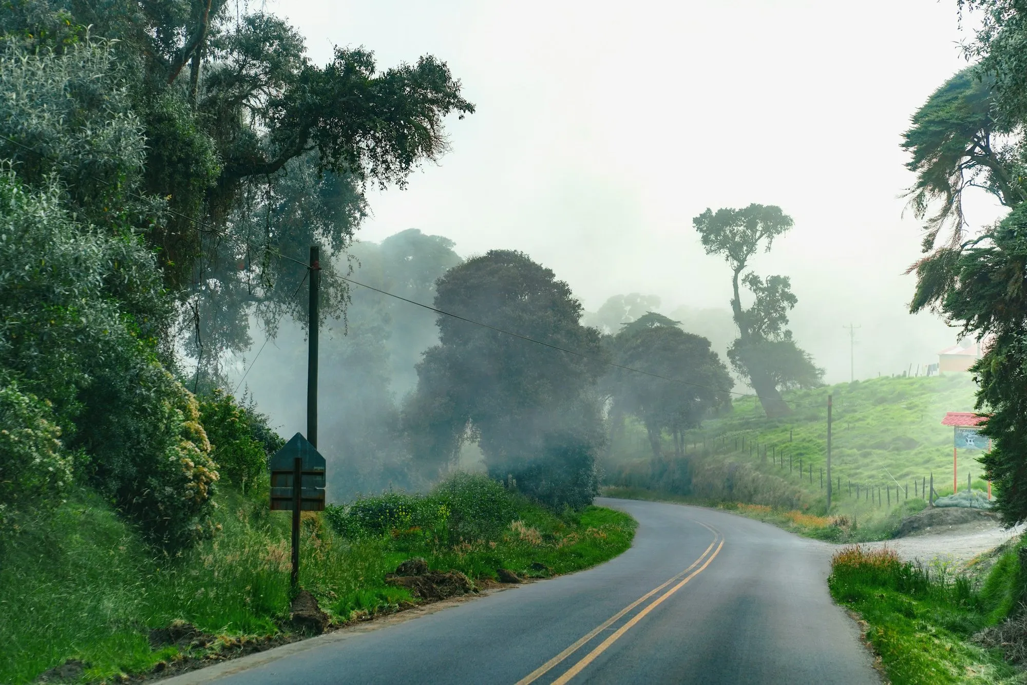 A two-lane road curving through foggy green forest in Costa Rica