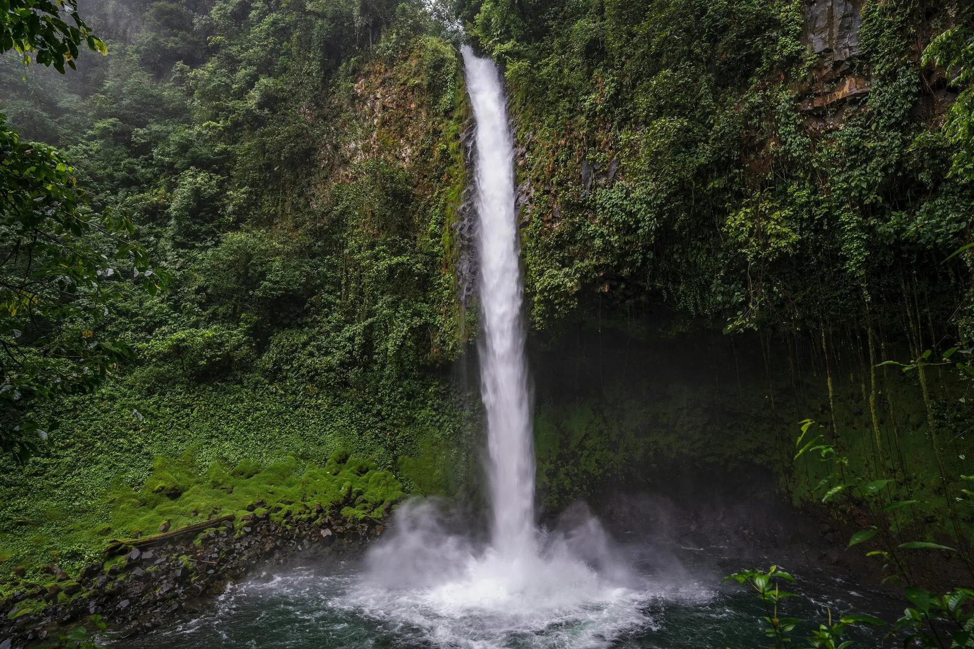 La Fortuna Waterfall dropping into its pool through the rainforest