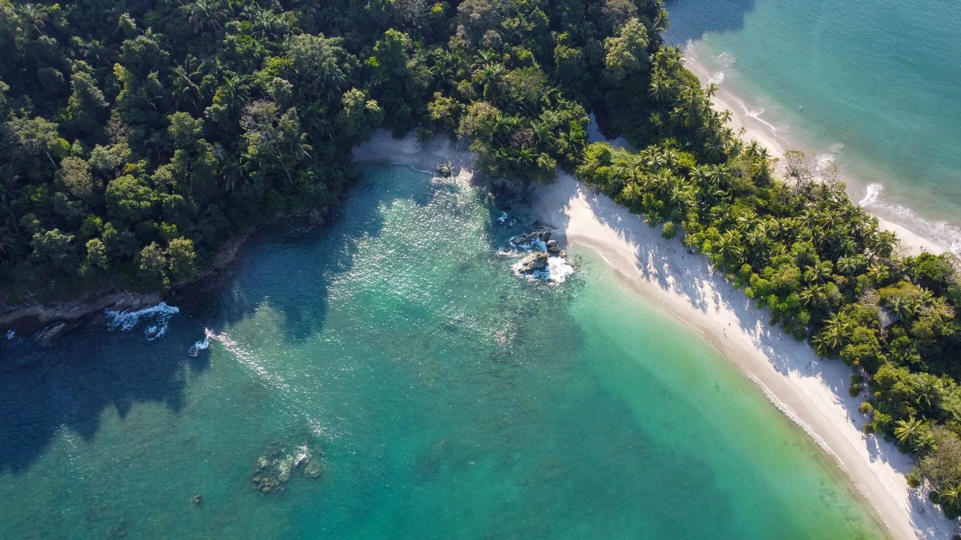 Aerial view of a turquoise bay and white sand beach with rainforest at Manuel Antonio, Costa Rica